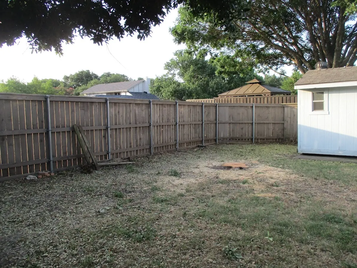 Cleared yard after professional tree removal in Hockessin